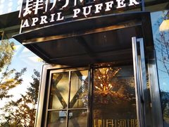 门面-肆月河豚·新淮扬(金融街店)