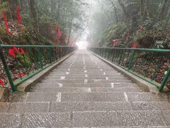 -云南屏边大围山国家公园