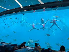-瑞德姆美人鱼海底演艺主题餐厅(亚龙湾店)
