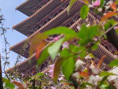 -牛首山文化旅游区