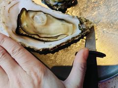 -蚝堡·生蚝海鲜烧烤物种起源•海肠捞饭(刘公岛店)