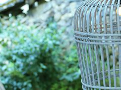 -MOJ coffee(瓯海泽雅水碓坑店)