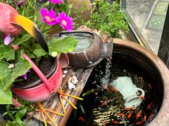 -萤火虫咖啡(砖著店)