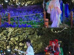 -江苏三台山国家森林公园