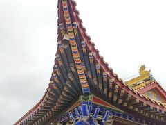 -东莞市大岭山森林公园