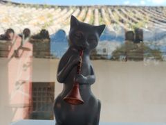 -喵屿·大理花园猫咖