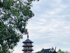 -红梅公园