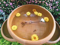 -杭州植物园