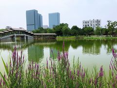 -西海子公园