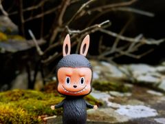 -叠溪松坪沟景区