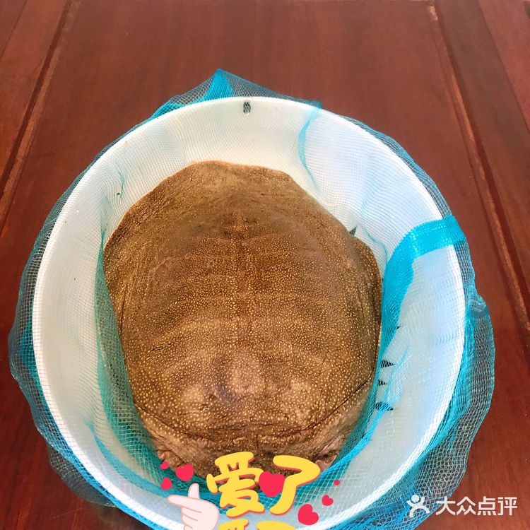 鲜到爆了,太好吃 铁皮石斛鸡汤炖一锅