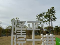 -长洲岛