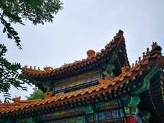 -老龙头景区