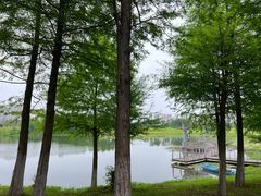 -洋湖国家湿地公园