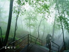 -沂蒙山旅游区云蒙景区(蒙山国家森林公园)