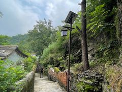 -南窖乡水峪村山情农家