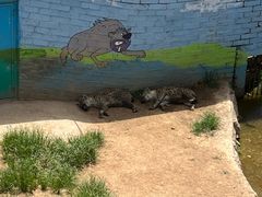 -西霞口神雕山野生动物世界