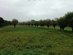 -汉长安城未央宫国家考古遗址公园