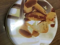 -珍妮曲奇聪明小熊(尖沙咀店)