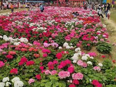 -盈香心动乐园
