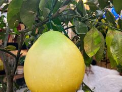 -十面欢腾(长乐路店)