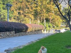 -陆家嘴世纪金融广场