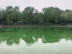 -康庄公园