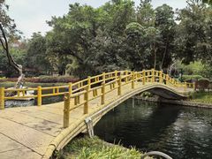 -晓港公园