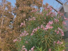 -福田红树林生态公园