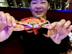 -339旋转餐厅(天府熊猫塔店)