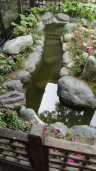 点击看大图 -爱儿美儿童摄影(朝阳公园店)