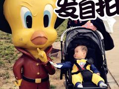 -石家庄市动物园