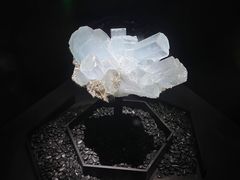 -浙江自然博物院(杭州馆)