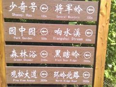 -五营红松林海景区