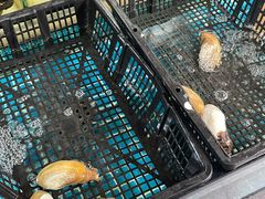 -王记新汕头肠粉炖汤