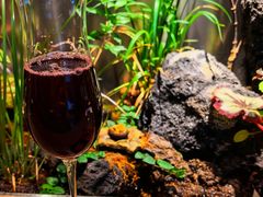 -曲廊院(东四十一条店)