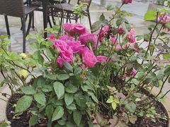 -厨艺餐厅·江西菜(省博物馆店)