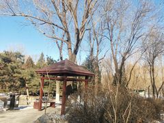 -东升八家郊野公园