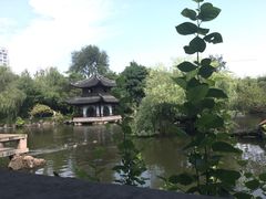 -水绘园