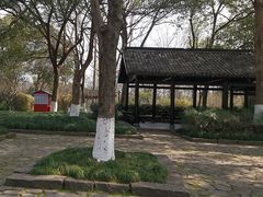 -西溪国家湿地公园