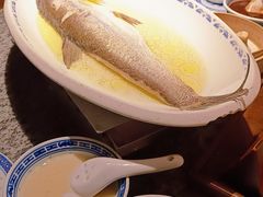 鸡汁长江白鱼-南京大牌档(青岛万象城店)