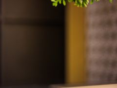 碎葱吞拿鱼军舰-Sushi Hanzo半藏(天环广场店)