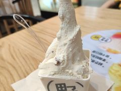-野人先生现做冰淇淋(北京环宇荟店)