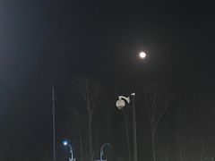 -果松木炭酸菜铜火锅·外婆参鸡汤