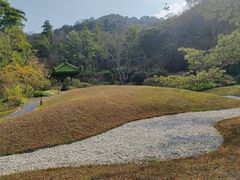 -云溪植物园