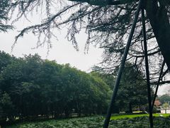 -人民广场