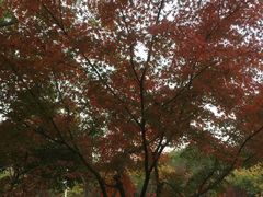 -无锡市市民中心