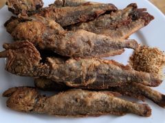 -享口福饺子馆(民旺园店)