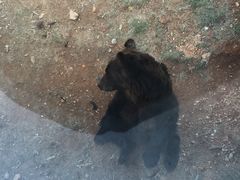 -泉州海丝野生动物世界