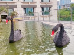 -行者书屋大堂吧 ·下午茶(南京圣和府邸酒店)